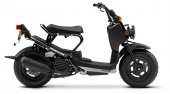 2008 Honda Ruckus photo